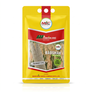 Badshah Hybrid Bajra Seeds – Variety MB-87