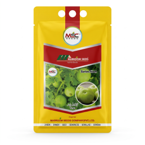 Selection Tinda Seeds
