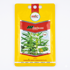 Selection Sesame Seeds – MSC-TH06