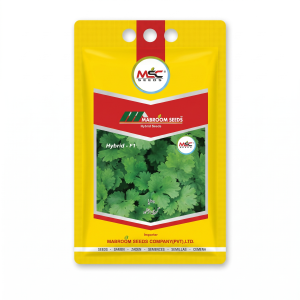Hybrid F1 Coriander Seeds