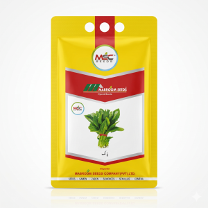 Palak / Spinach Seeds