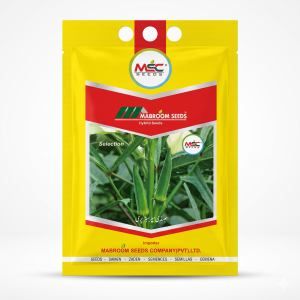 Selection Bhindi Super Story Seeds