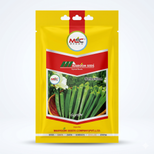 Selection Bhindi Seeds