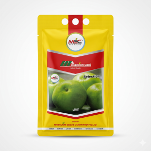 Selection Round Tinda Seeds