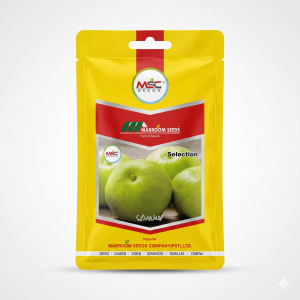 Selection Green Round Tinda Seeds