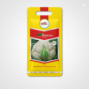 Cauliflower White F1 Seeds