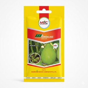 Makhan Bottle Gourd F1 Seeds