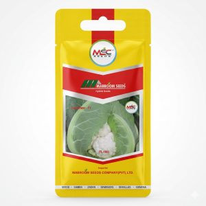 Cauliflower F1 Seeds – TL-100