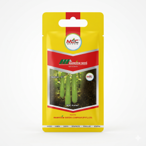 MSC Anmol Bottle Gourd F1 Seeds
