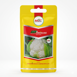 Cauliflower F1 Seeds – TL-90