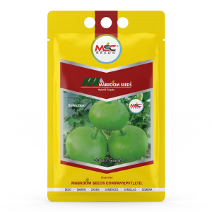 Selection Petha / Gourd Seeds
