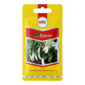 Brinjal F1 Seeds – White-E04