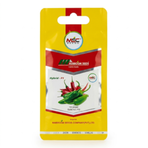 Hot Pepper F1 Seeds – Bullet Hot P10