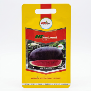 Watermelon F1 Seeds – MSC Shaheen 1
