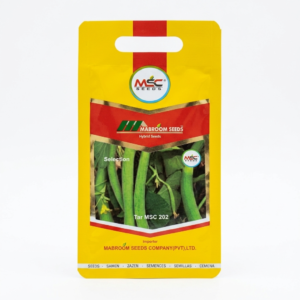 Cucumber Selection Seeds – Tar MSC 202