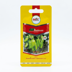 Green Pepper F1 Seeds – Jingu No. 203-P03