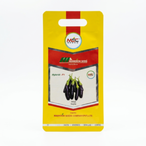 Brinjal F1 Seeds – Nagina