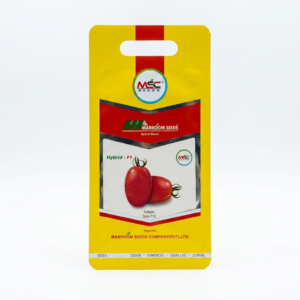 Tomato F1 Seeds – Sala-T12