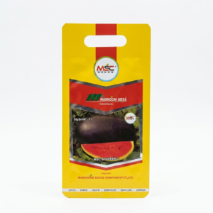 Watermelon F1 Seeds – MSC Shaheen 2