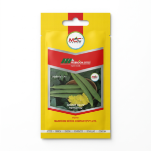 Sponge Gourd F1 Seeds – Harman 02