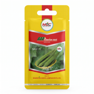 Sponge Gourd F1 Seeds – MSC SG 01