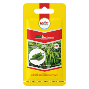 Hot Pepper F1 Seeds – MSC Sada Bahar