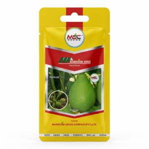 Bottle Gourd F1 Seeds – Makhan