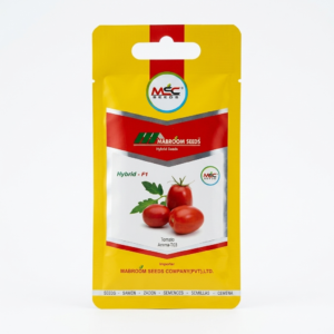 Tomato F1 Seeds – Amma-T03