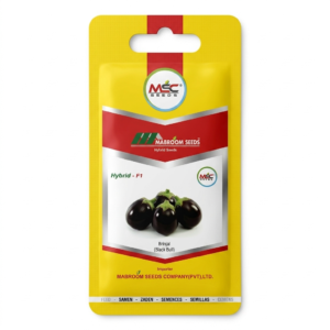 Brinjal F1 Seeds – Black Bull