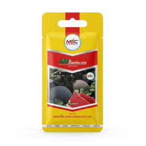 Watermelon F1 Seeds – Thunder